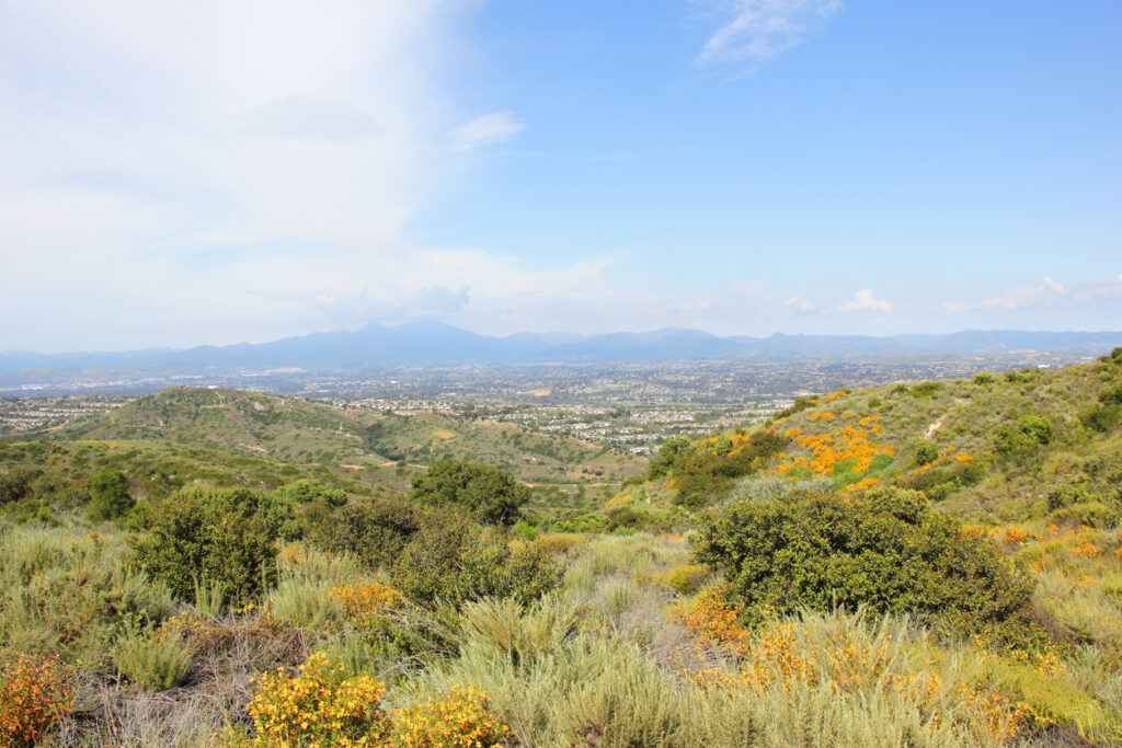Hiking trail in Laguna Beach
