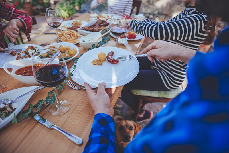 Pet-friendly beaches, trails, and restaurants in Laguna Beach