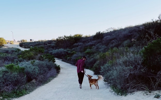 Pet-friendly beaches, trails, and restaurants in Laguna Beach