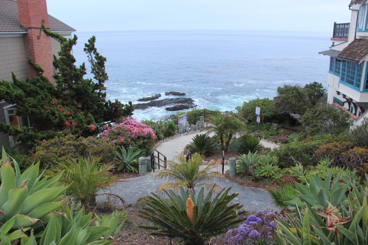 A landscaped pathway leading toward the ocean within a scenic view corridor in Laguna Beach, California